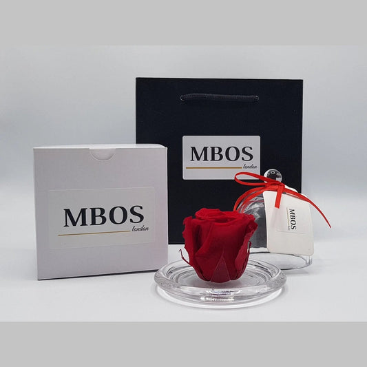 MBOS London Red Preserved Rose presented in Glass Dome