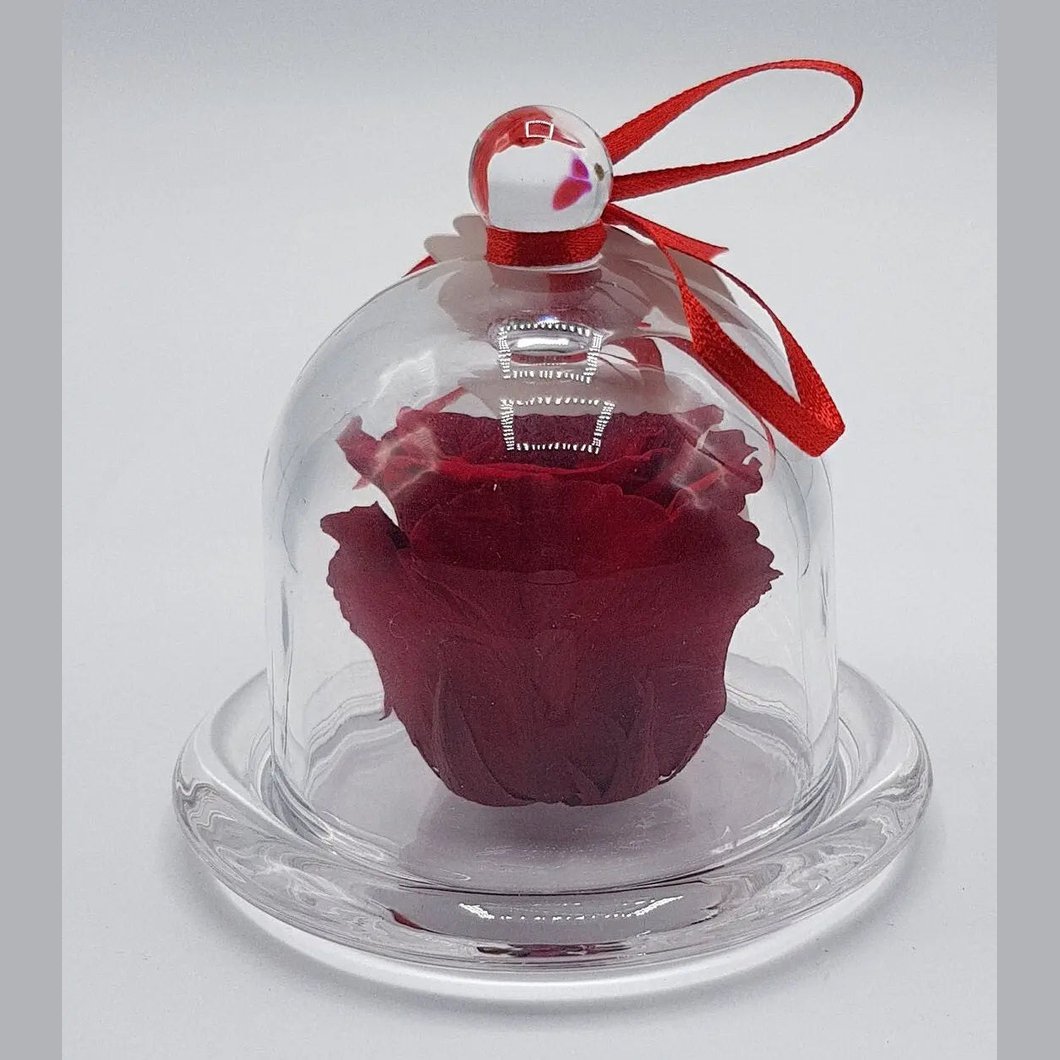 MBOS London Red Preserved Rose presented in Glass Dome