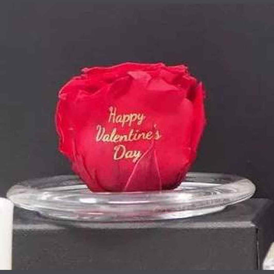 MBOS London Preserved Red Rose Printed With Happy Valentines Day In a Glass Dome