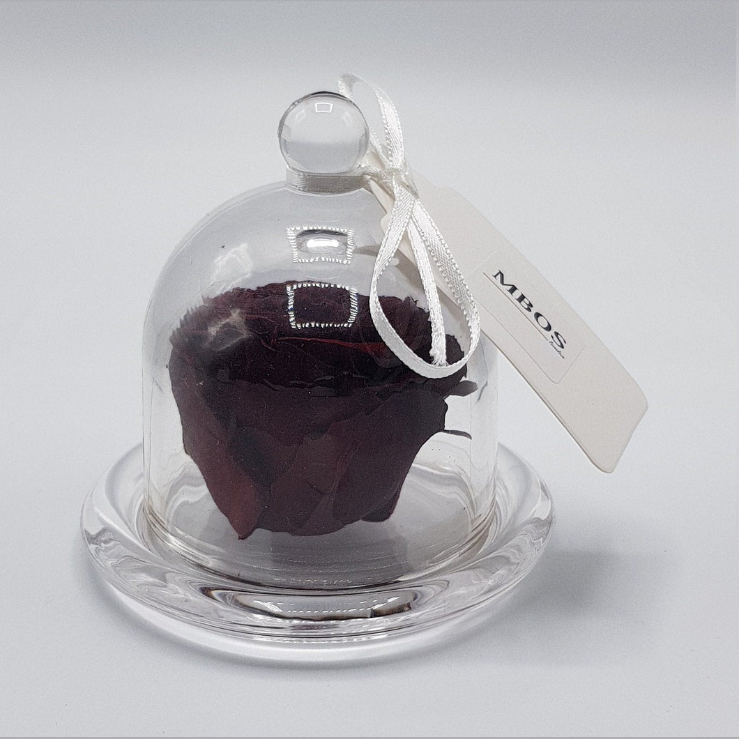 MBOS London Burgundy Preserved Rose Presented in a Glass Dome