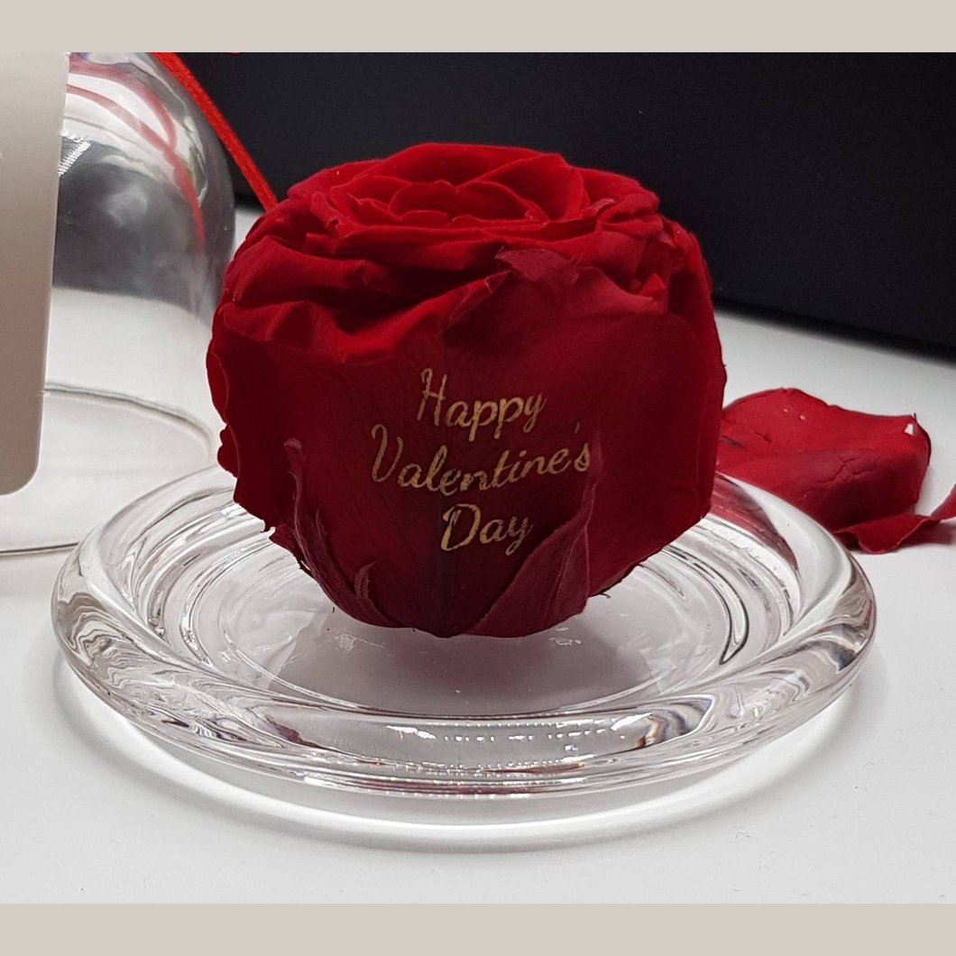 MBOS London Preserved Red Rose Printed With Happy Valentines Day In a Glass Dome