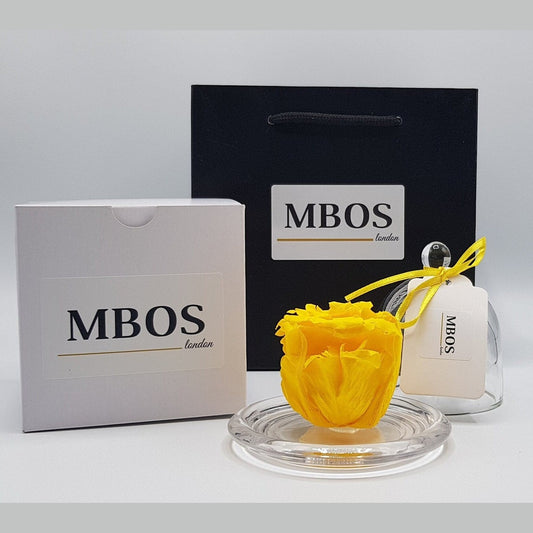 MBOS London Yellow Preserved Rose Presented in a Glass Dome