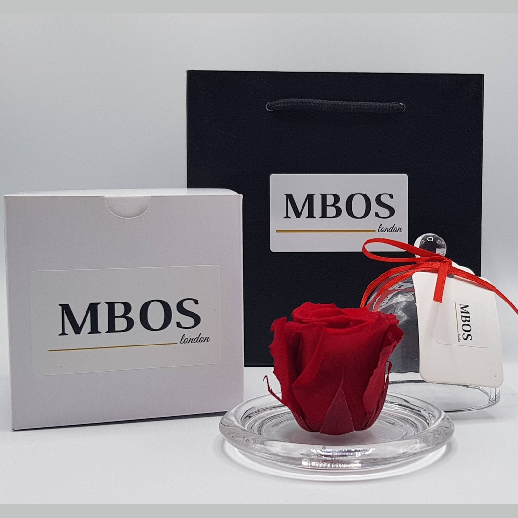 MBOS London Preserved Red Rose Printed With Happy Valentines Day In a Glass Dome