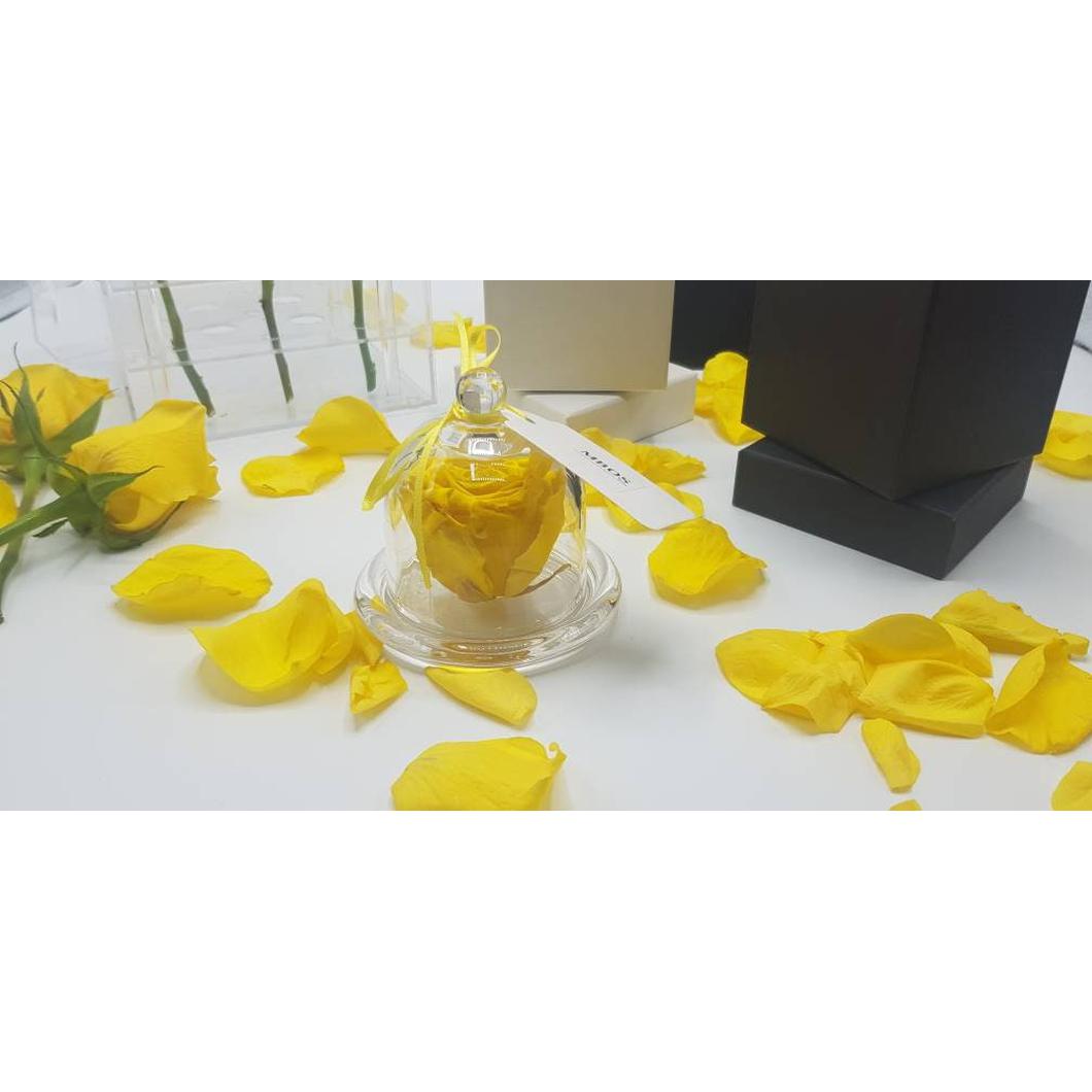 MBOS London Yellow Preserved Rose Presented in a Glass Dome