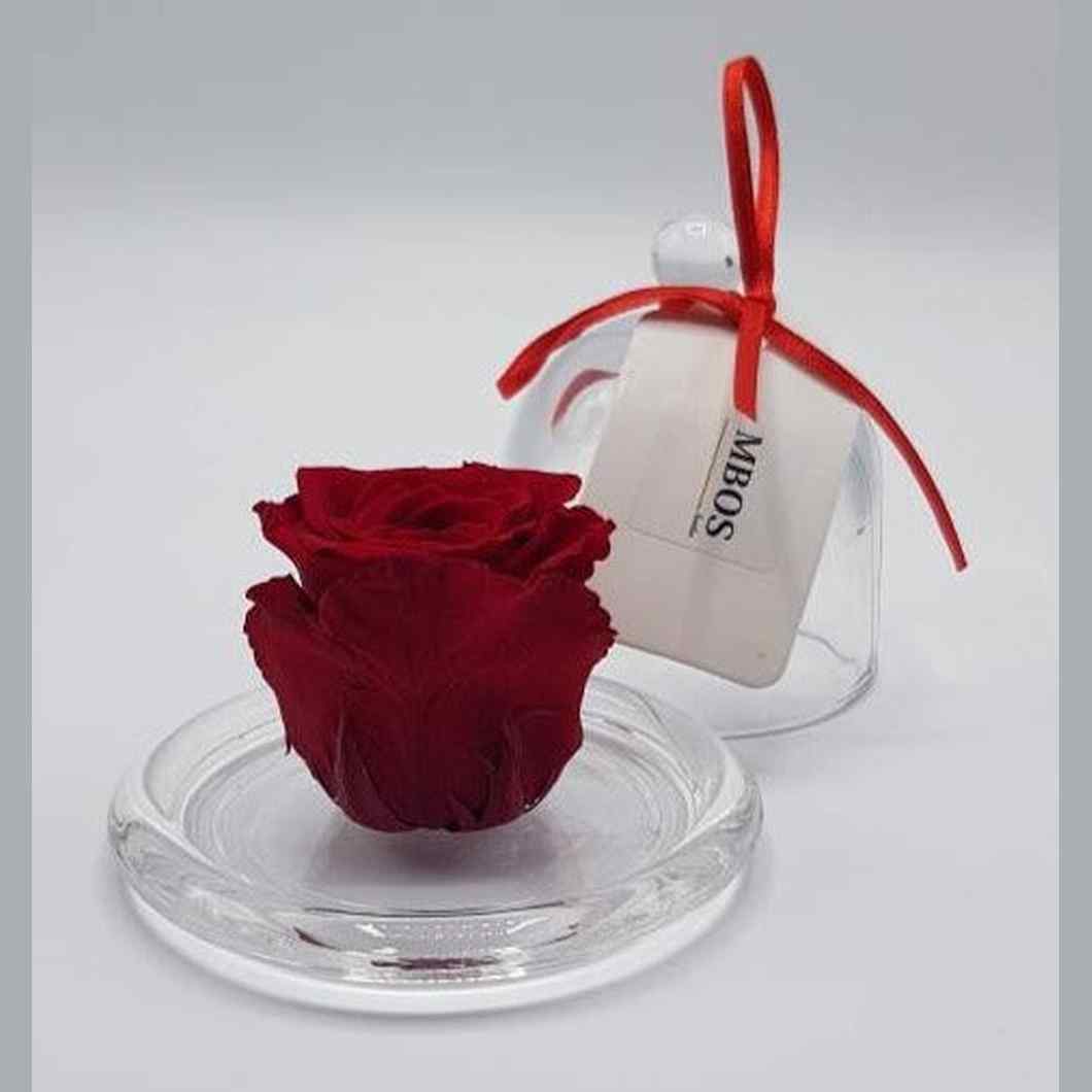 MBOS London Preserved Red Rose Printed With Happy Valentines Day In a Glass Dome