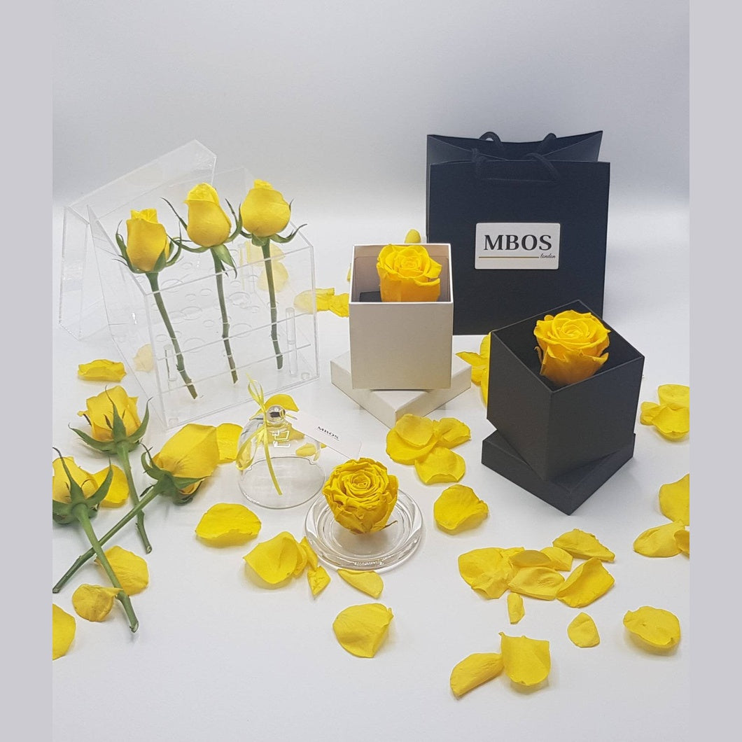MBOS London Yellow Preserved Rose Presented in a Glass Dome