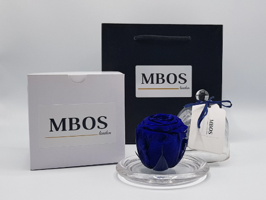 MBOS London Navy Blue Preserved Rose Presented in a Glass Dome