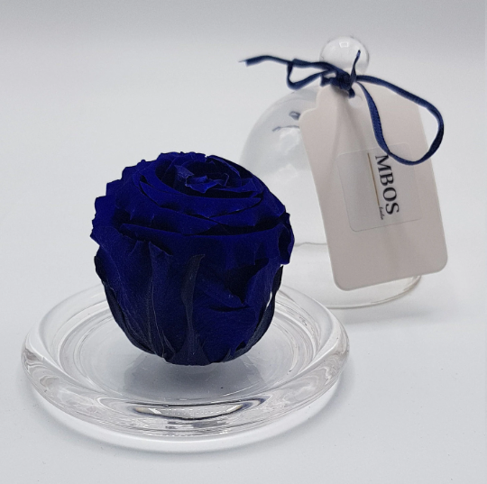 MBOS London Navy Blue Preserved Rose Presented in a Glass Dome