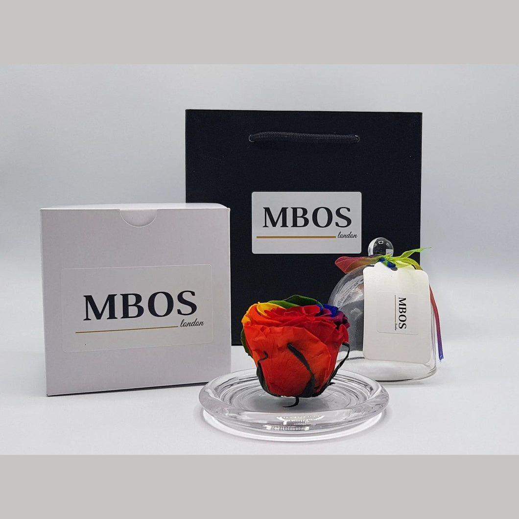 MBOS London Rainbow Preserved Rose Presented in a Glass Dome