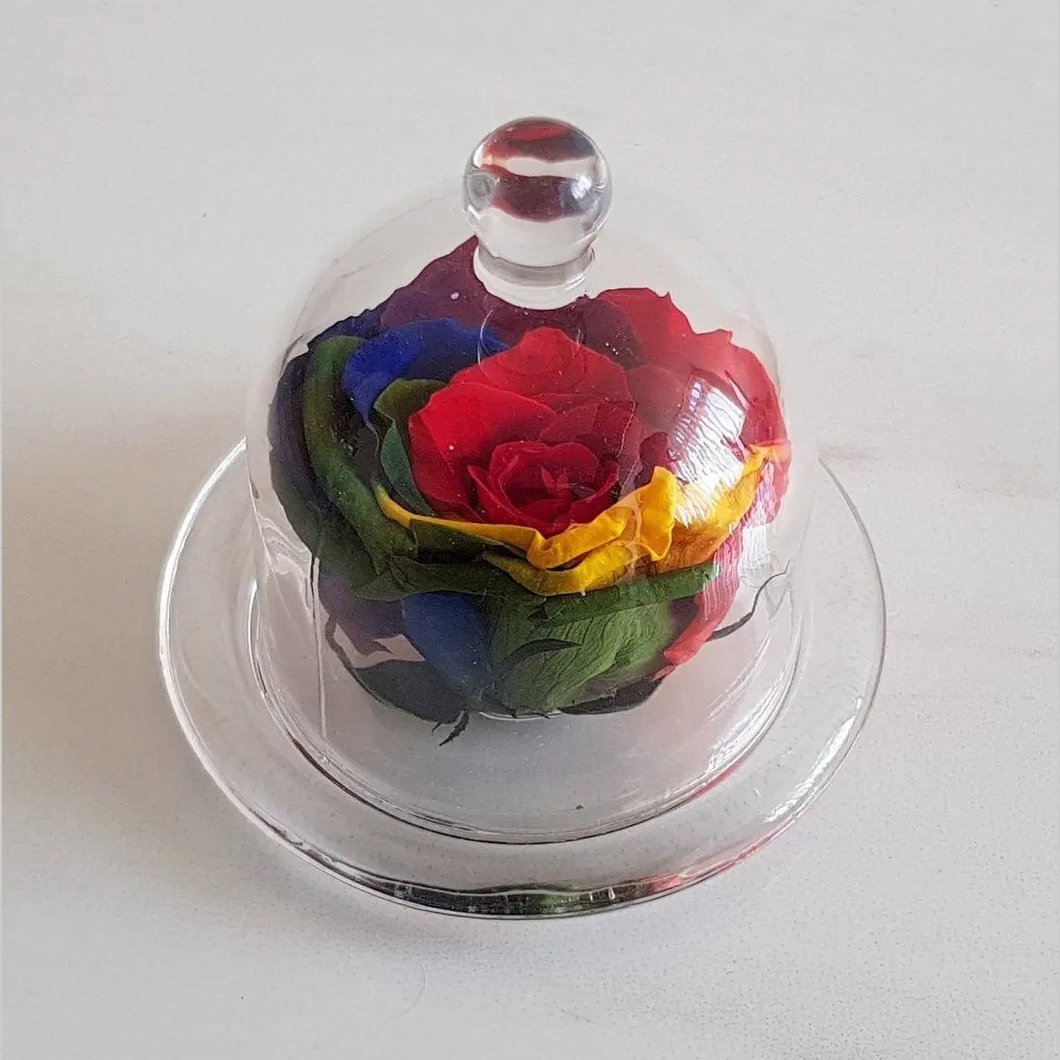 MBOS London Rainbow Preserved Rose Presented in a Glass Dome