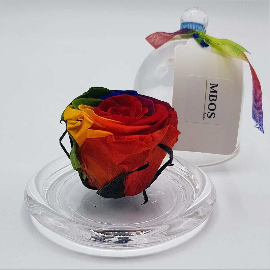 MBOS London Rainbow Preserved Rose Presented in a Glass Dome