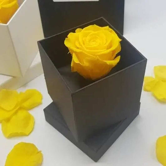 MBOS London Everlasting Yellow Rose Presented In a Black Gift Box