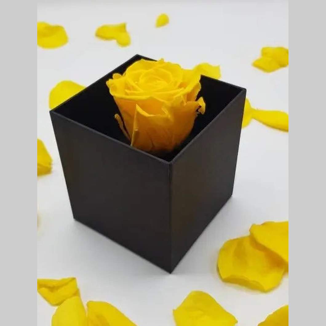 MBOS London Everlasting Yellow Rose Presented In a Black Gift Box