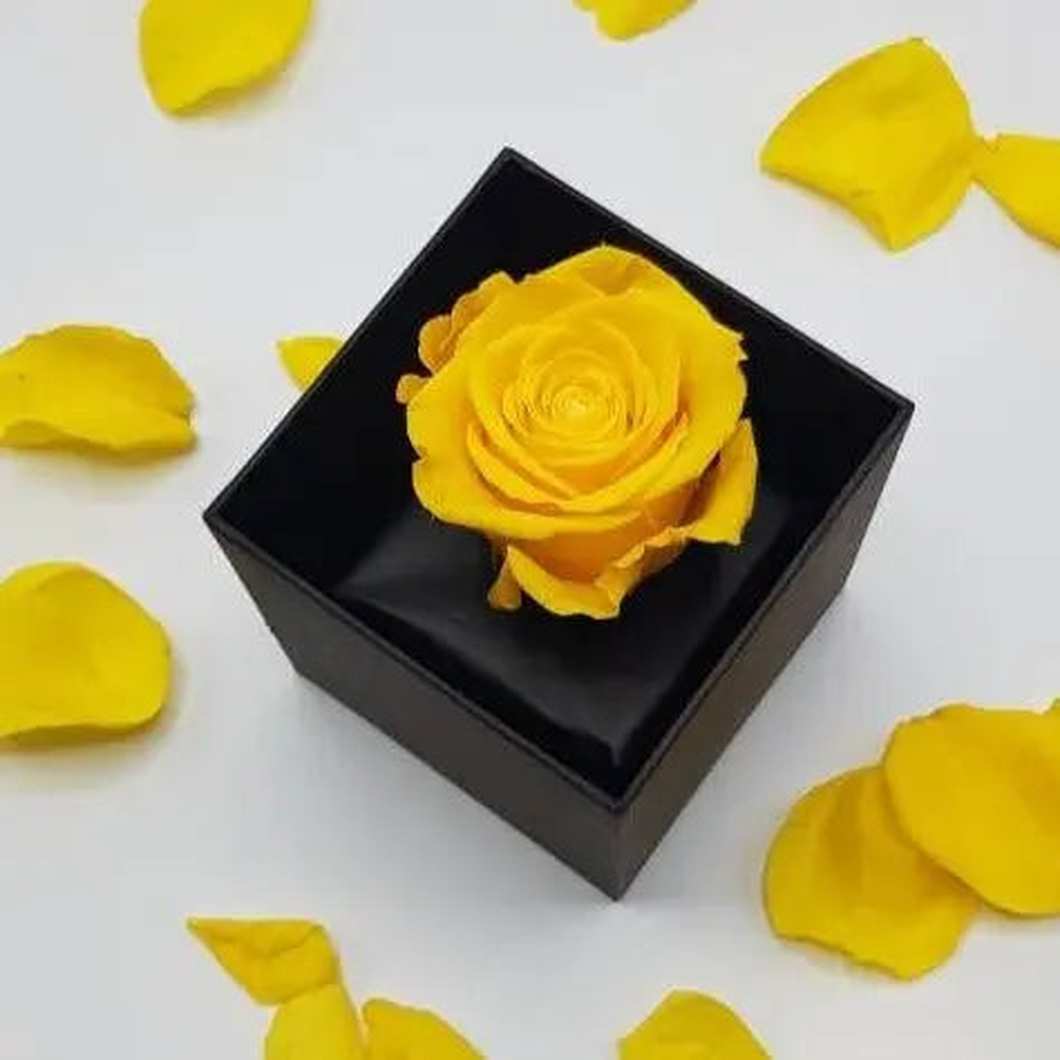 MBOS London Everlasting Yellow Rose Presented In a Black Gift Box