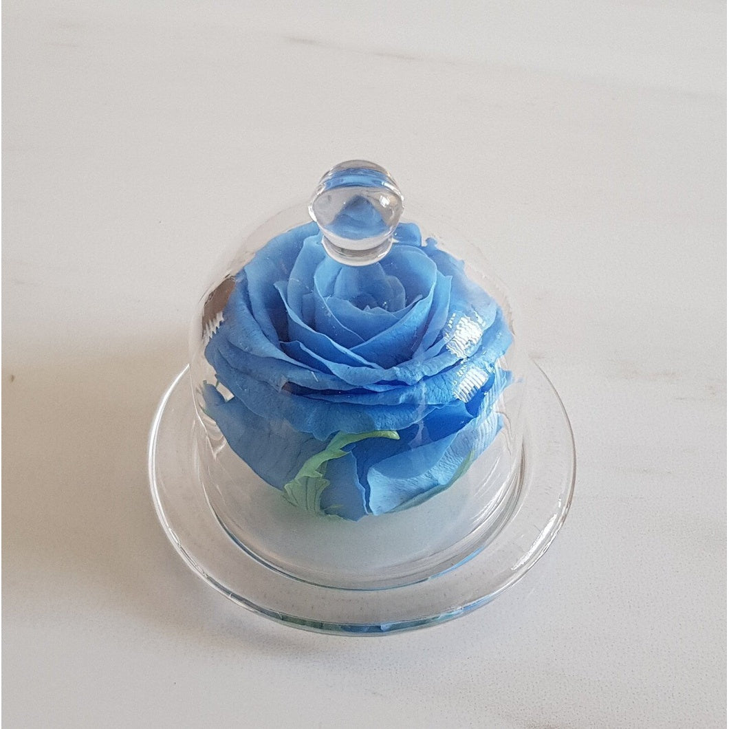 MBOS London Sky Blue Preserved Rose Presented in a Glass Dome