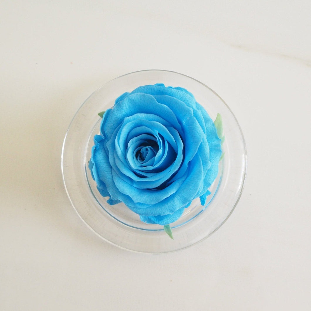 MBOS London Sky Blue Preserved Rose Presented in a Glass Dome