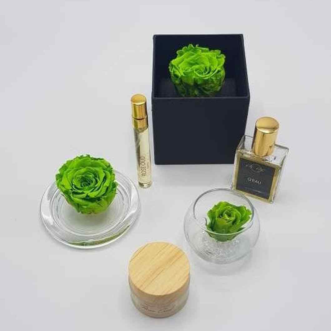 MBOS London Preserved Rose in Green Presented In a Black Gift Box