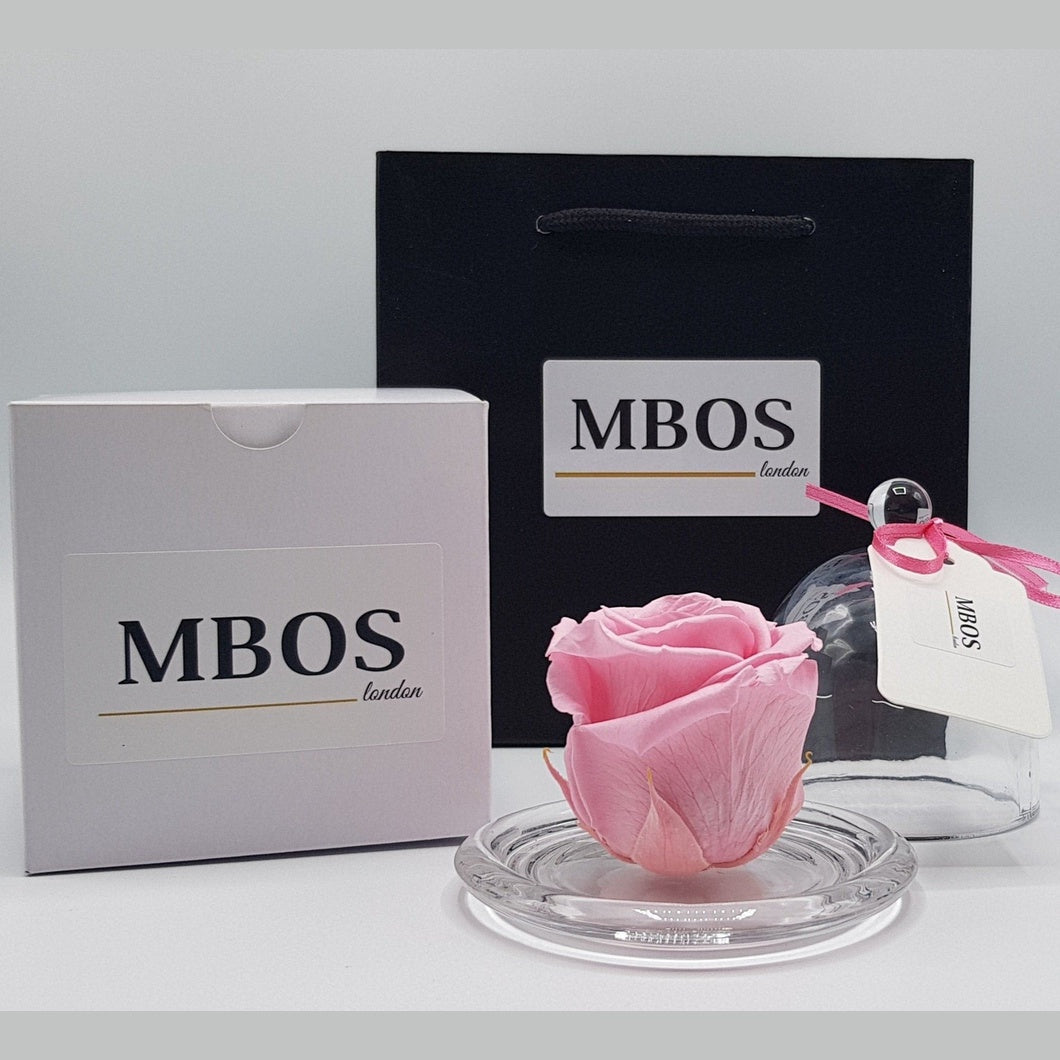 MBOS London Baby Pink Preserved Rose Presented in a Glass Dome