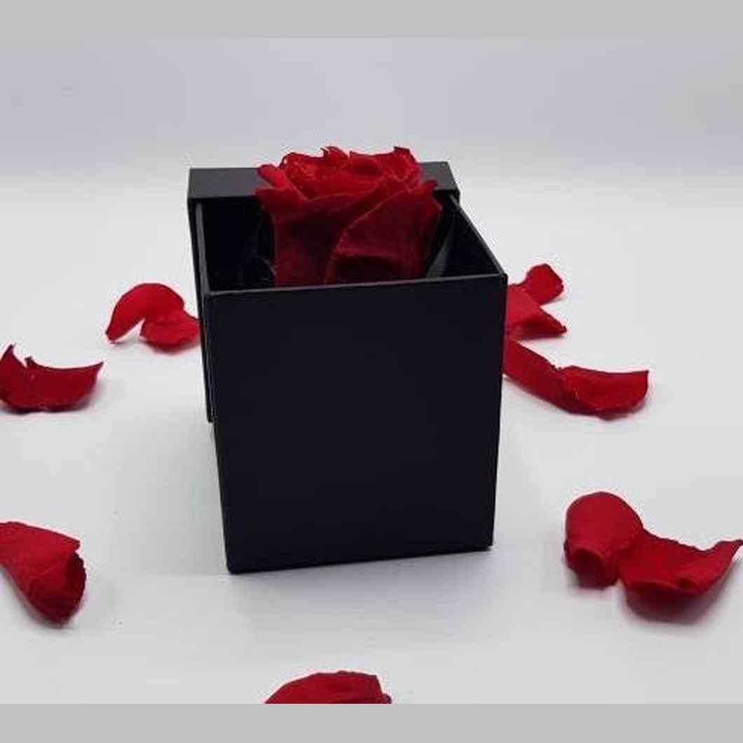 MBOS London Everlasting Red Rose Presented In a Black Gift Box