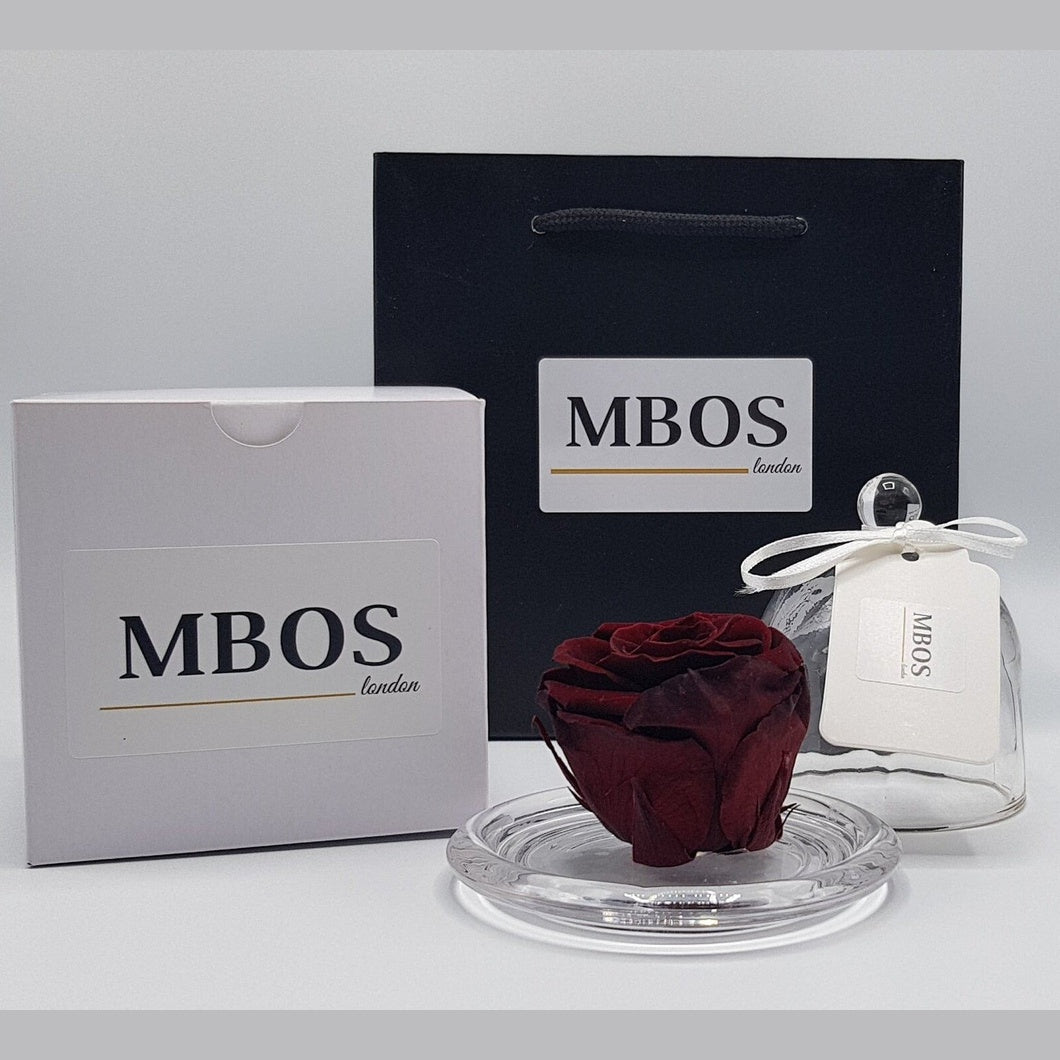 MBOS London Burgundy Preserved Rose Presented in a Glass Dome