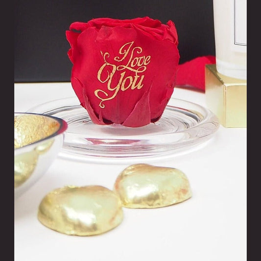 MBOS London Preserved Rose in Red Printed With 'I Love You' in a Glass Dome