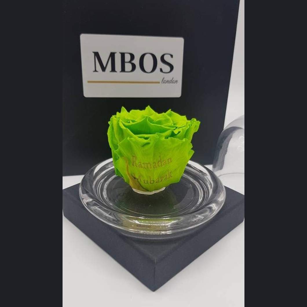 MBOS London Green Preserved Rose In a Glass Dome