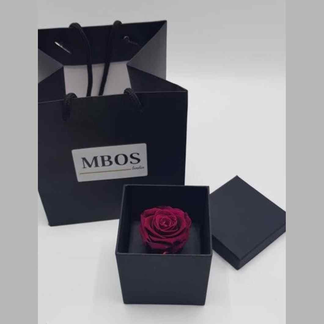 MBOS London Purple Preserved Rose Presented in a Glass Dome