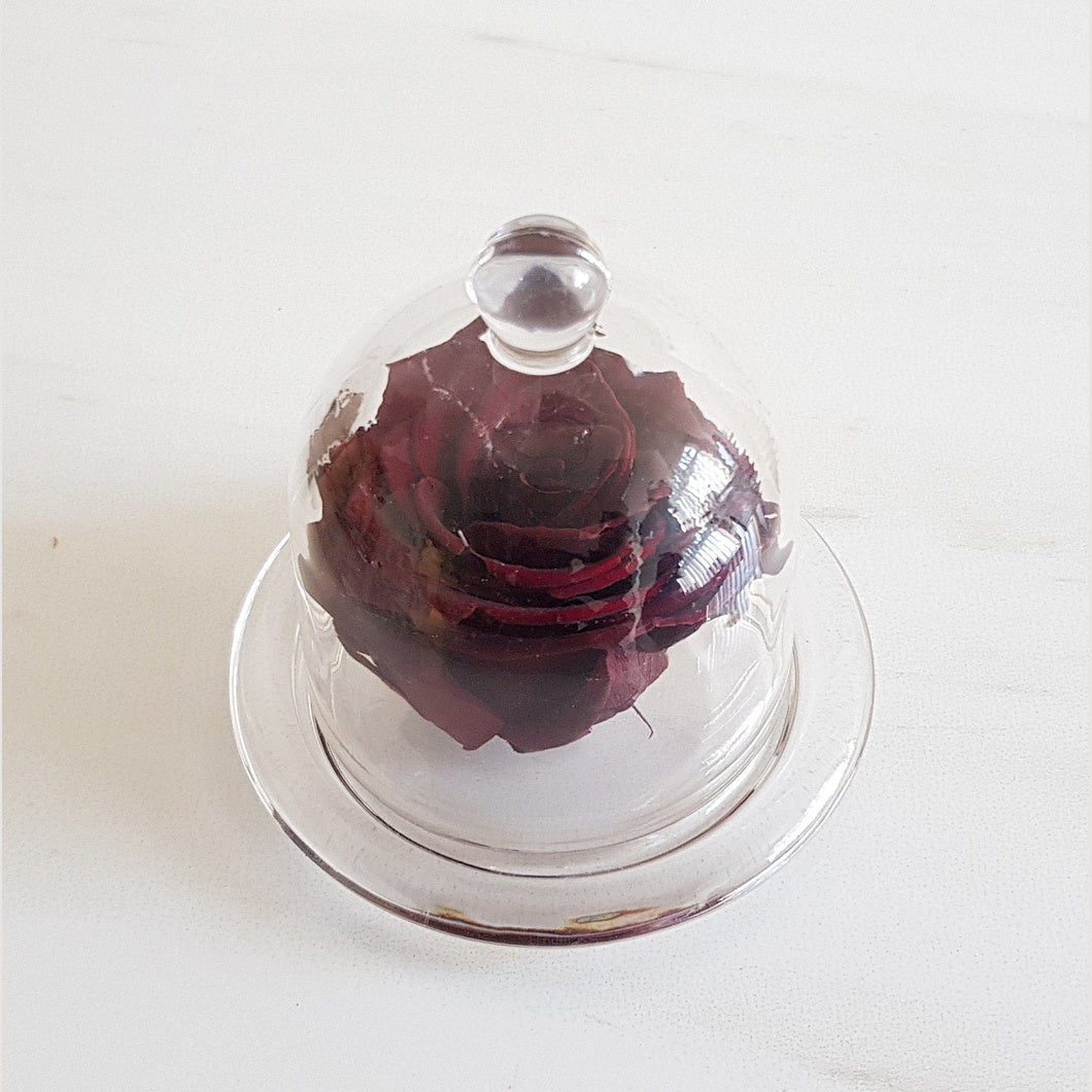 MBOS London Burgundy Preserved Rose Presented in a Glass Dome