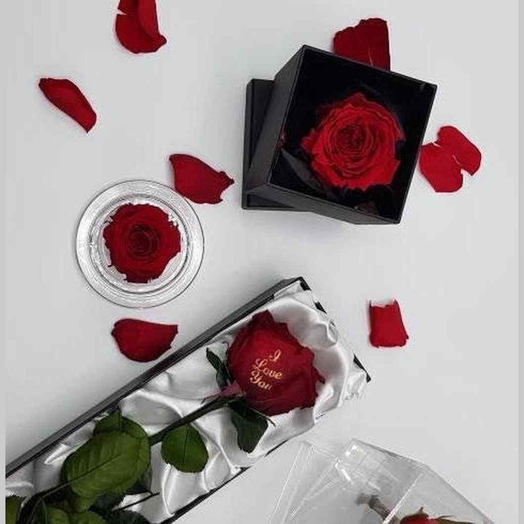 MBOS London Everlasting Red Rose Presented In a Black Gift Box