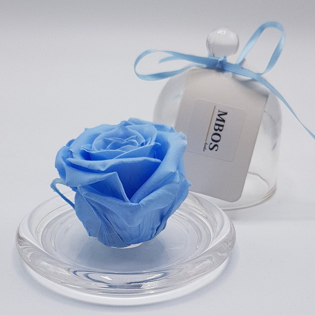 MBOS London Baby Blue Preserved Rose Presented in a Glass Dome