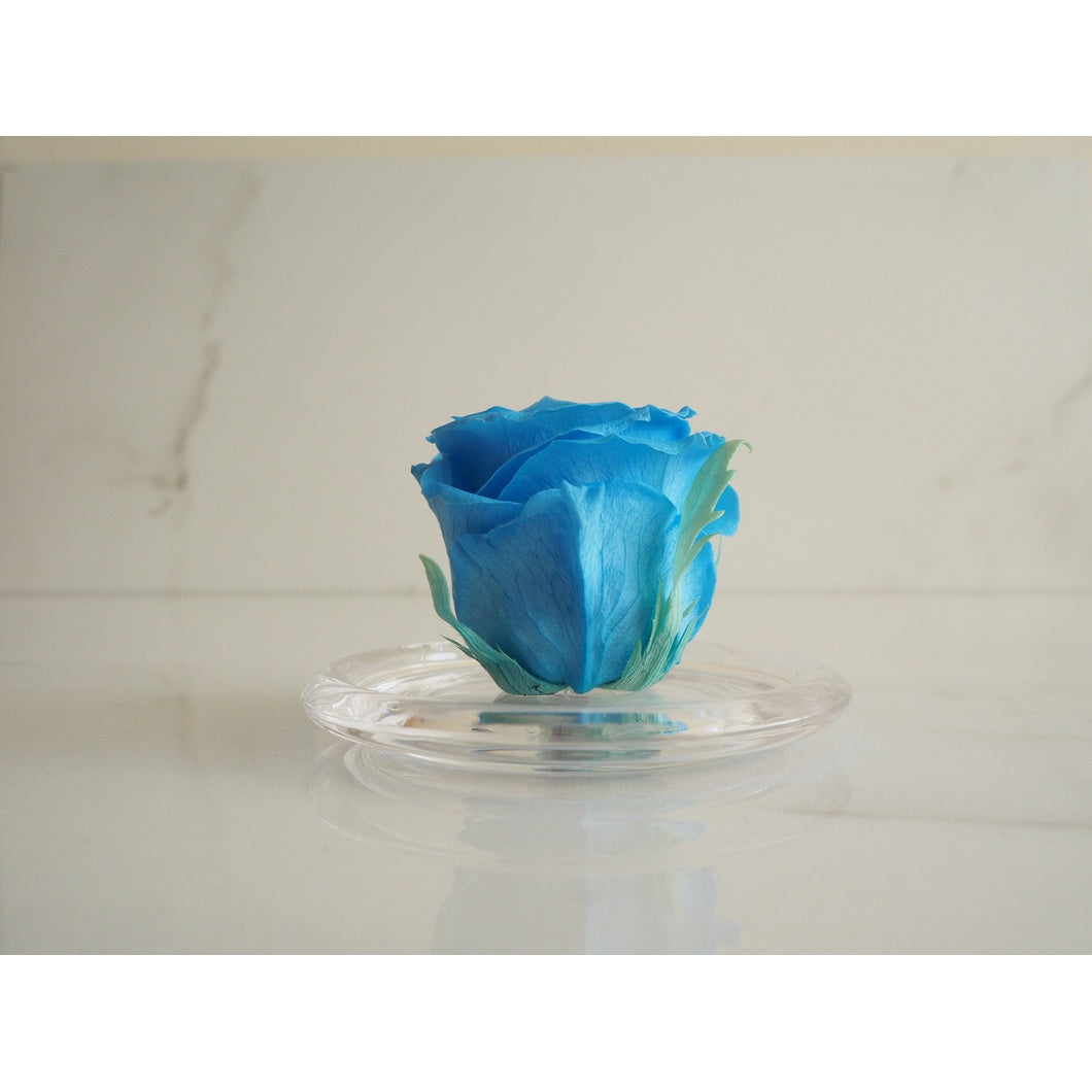 MBOS London Sky Blue Preserved Rose Presented in a Glass Dome