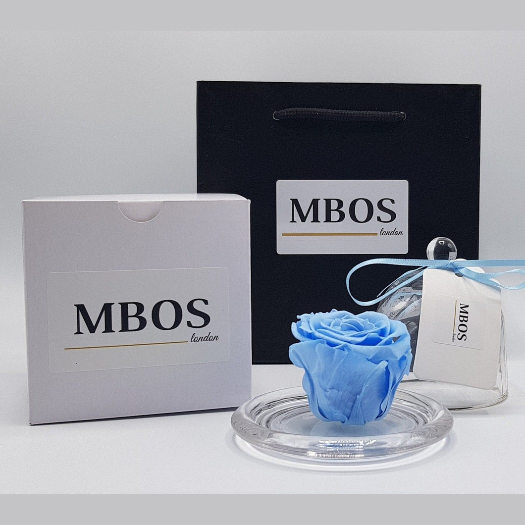 MBOS London Baby Blue Preserved Rose Presented in a Glass Dome