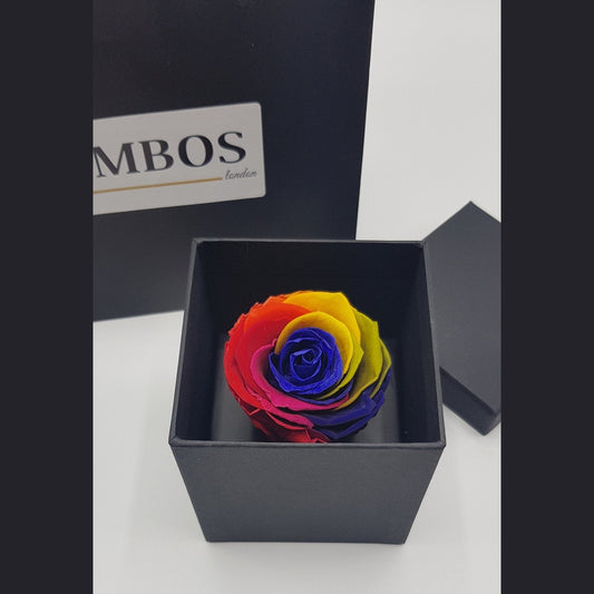 MBOS London Everlasting Rainbow Rose Presented in a Black gift Box