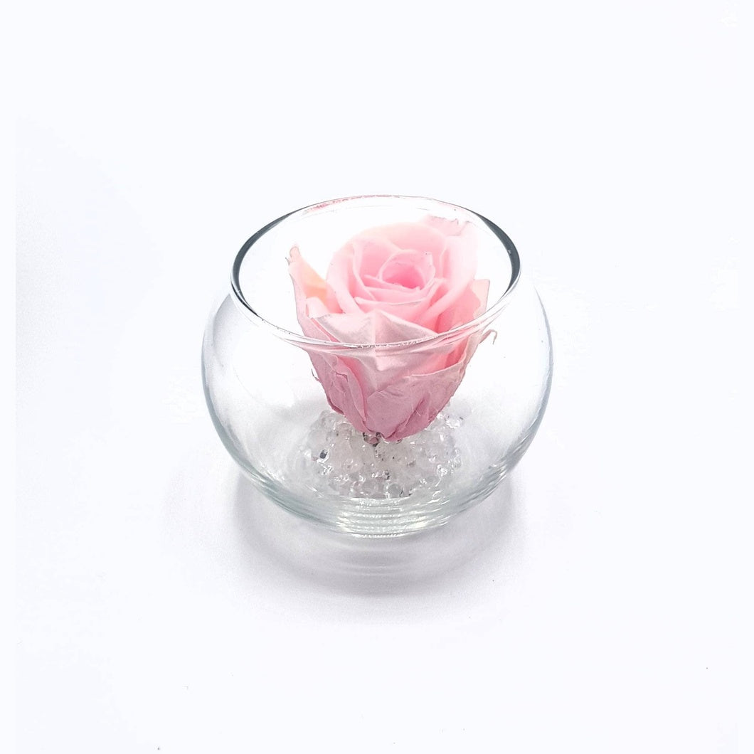 MBOS London Mini Preserved Rose In a Glass Tealight Holder - Various Colours