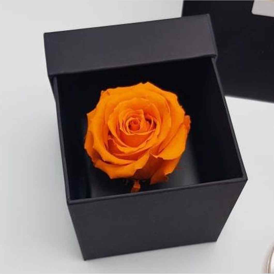 MBOS London Everlasting Orange Rose Presented In a Black Gift Box