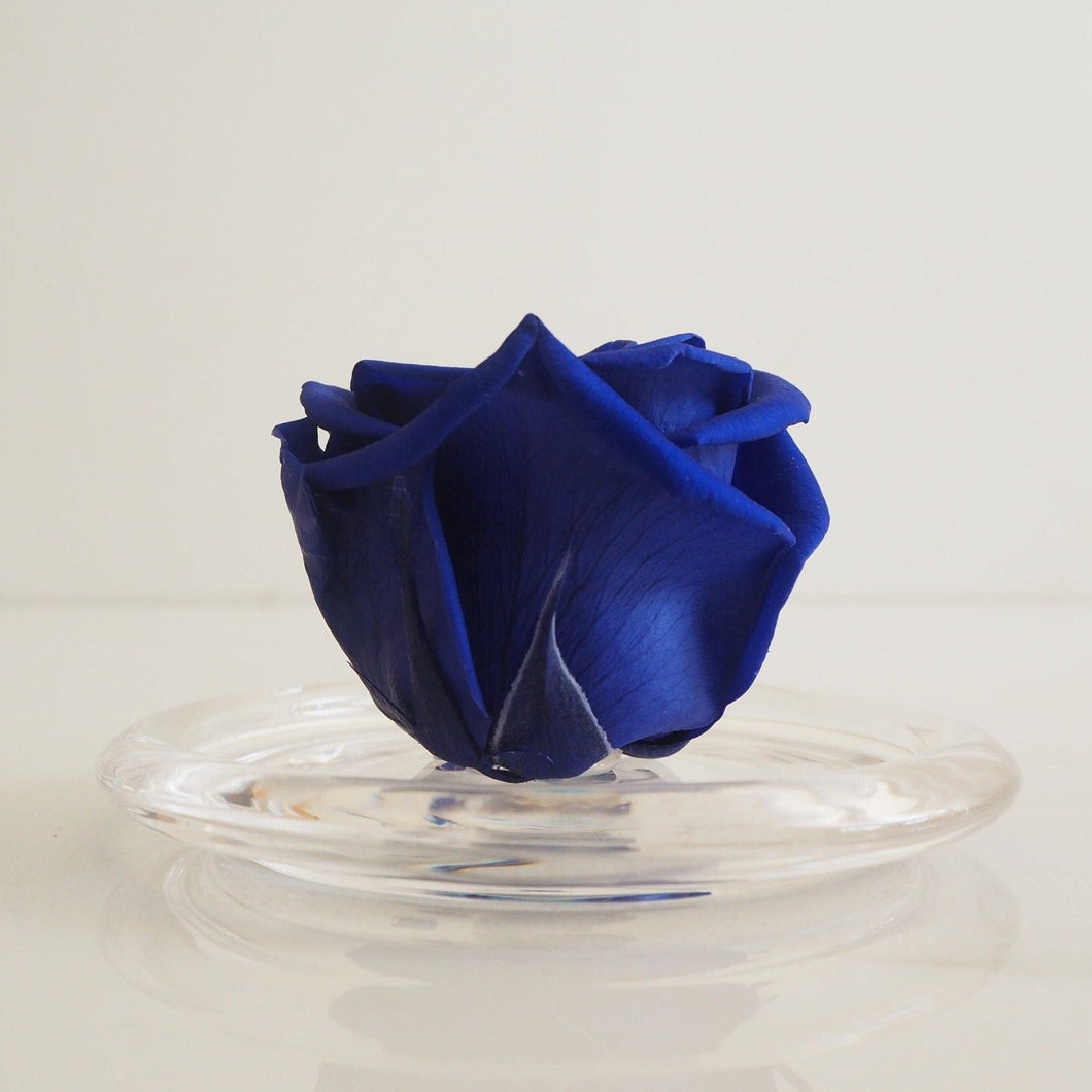 MBOS London Indigo Blue Preserved Rose Presented in a Glass Dome