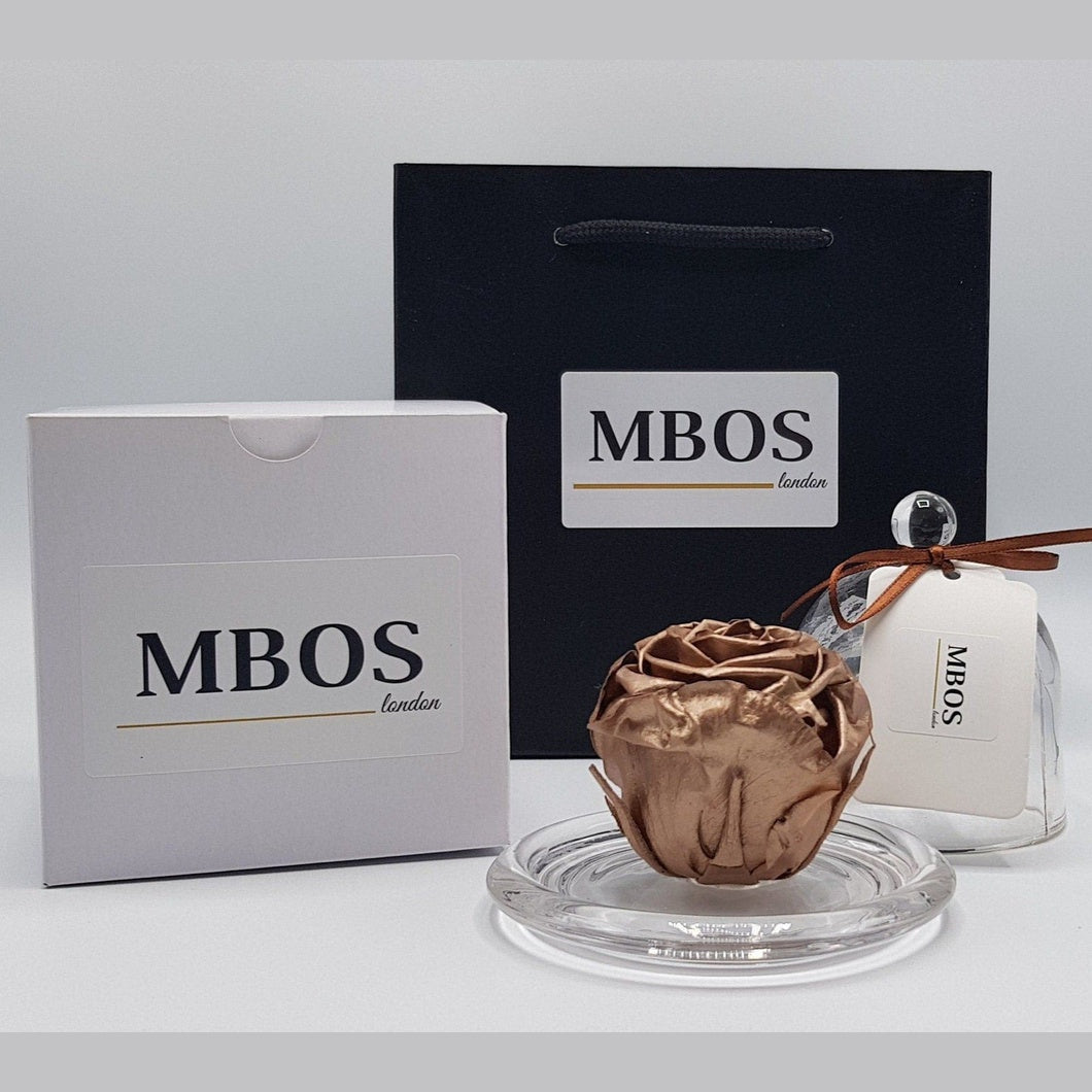 MBOS London Copper Preserved Rose Presented in a Glass Dome