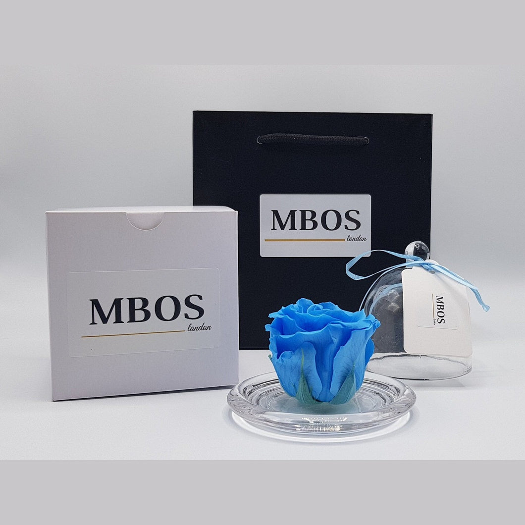 MBOS London Sky Blue Preserved Rose Presented in a Glass Dome