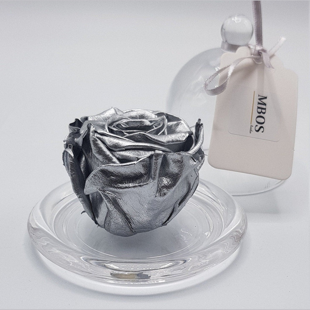 MBOS London Silver Preserved Rose Presented in a Glass Dome