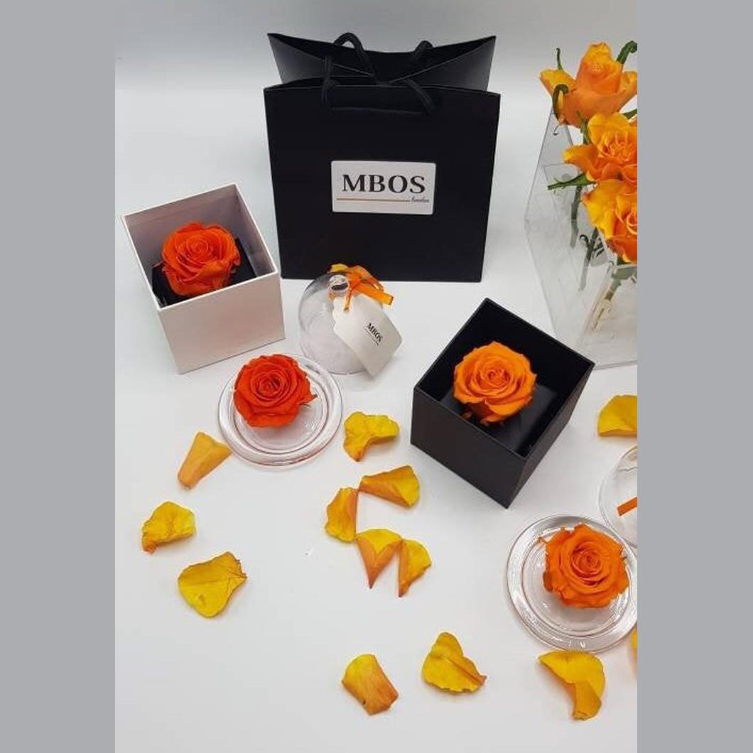 MBOS London Everlasting Orange Rose Presented In a Black Gift Box