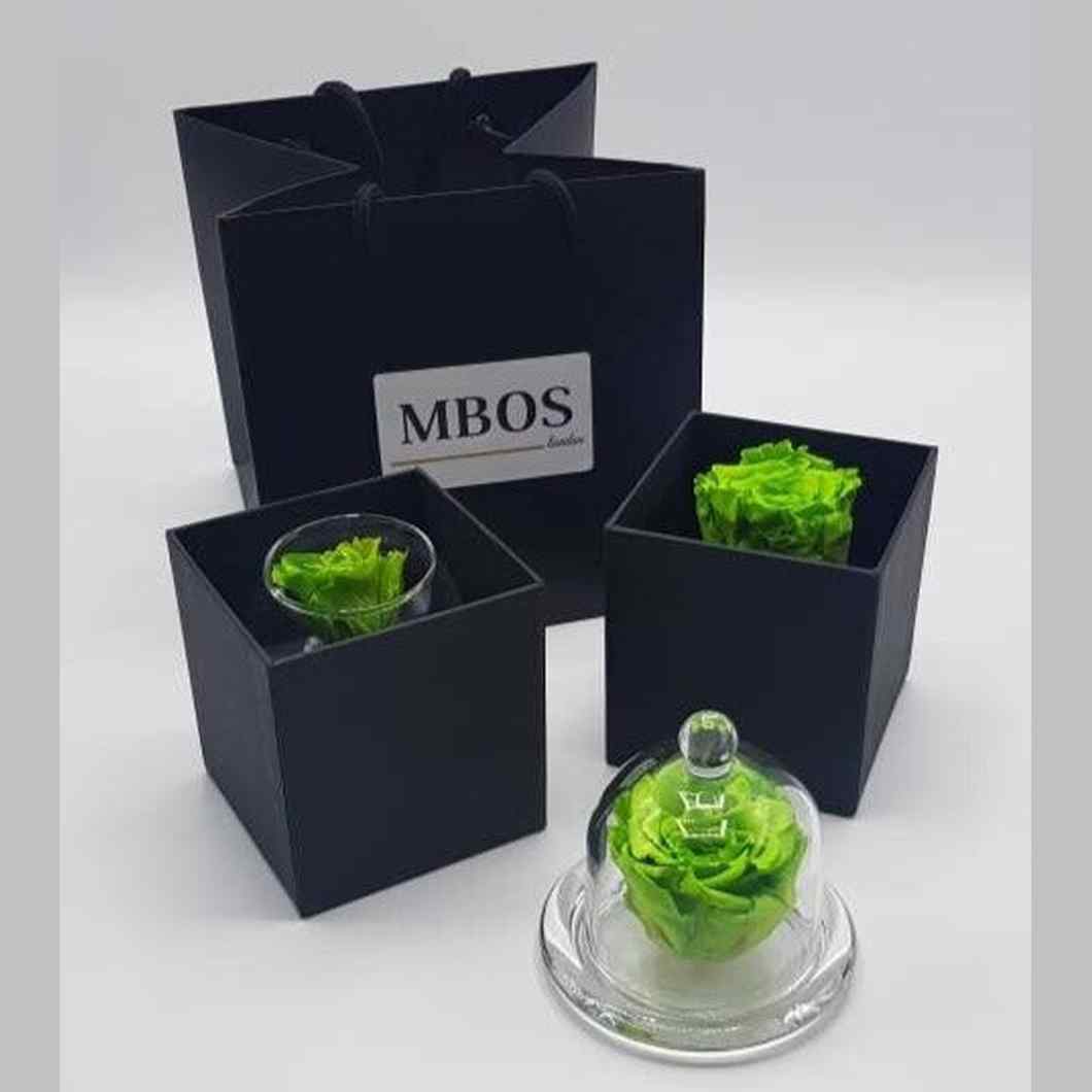 MBOS London Green Preserved Rose In a Glass Dome