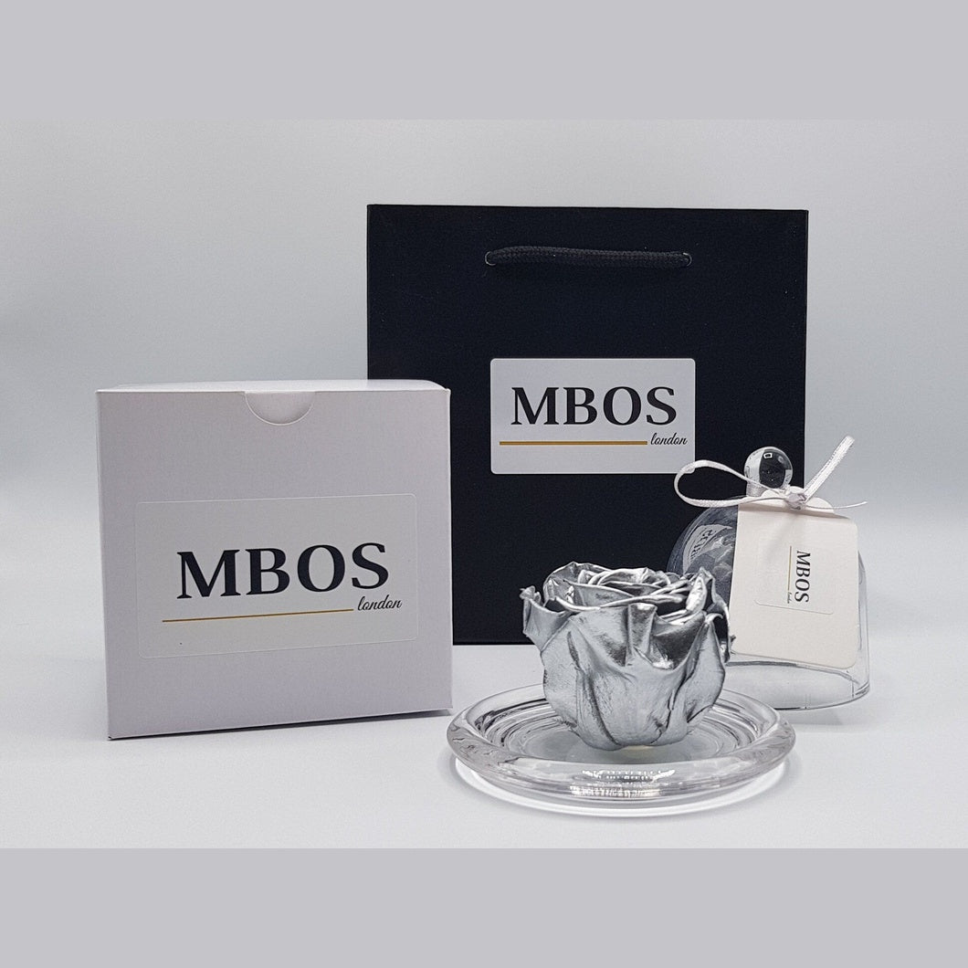 MBOS London Silver Preserved Rose Presented in a Glass Dome