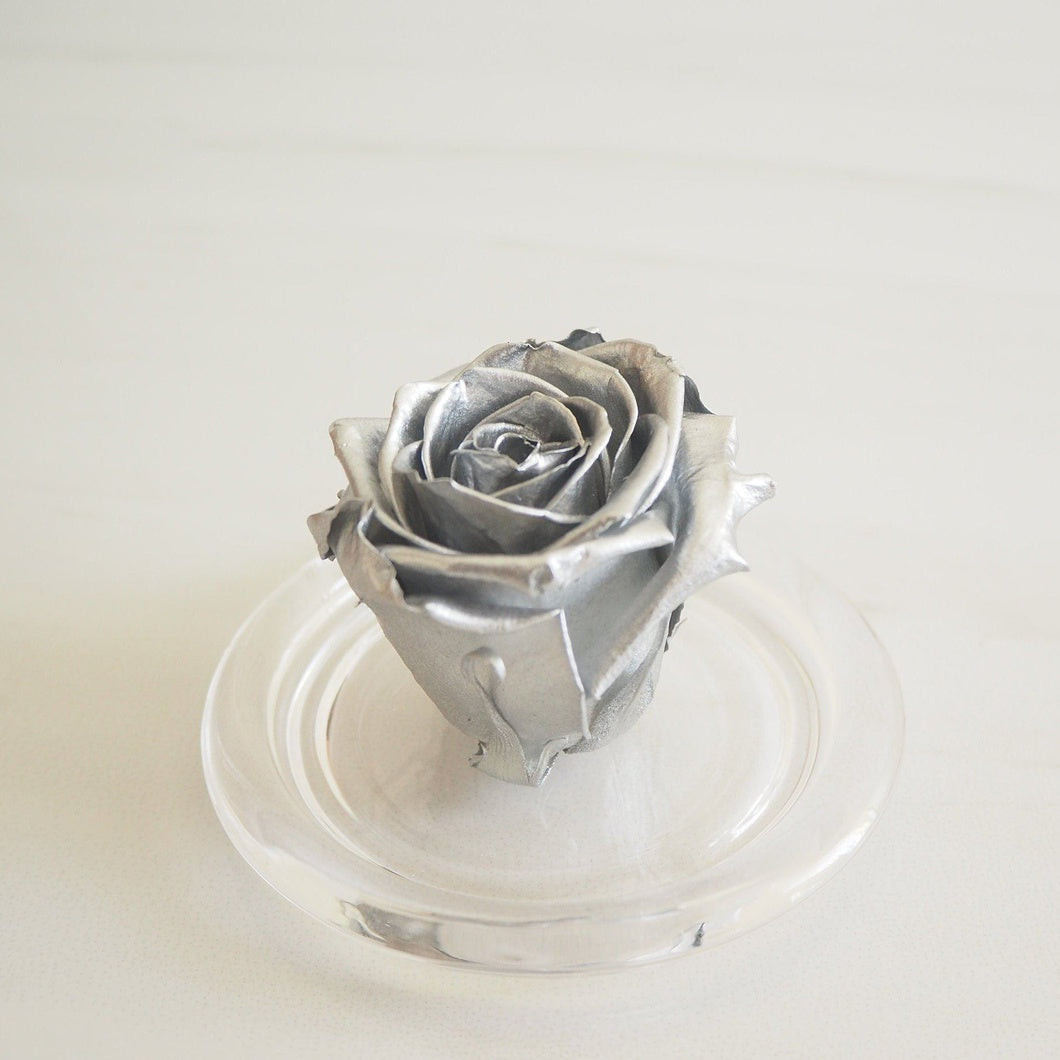 MBOS London Silver Preserved Rose Presented in a Glass Dome