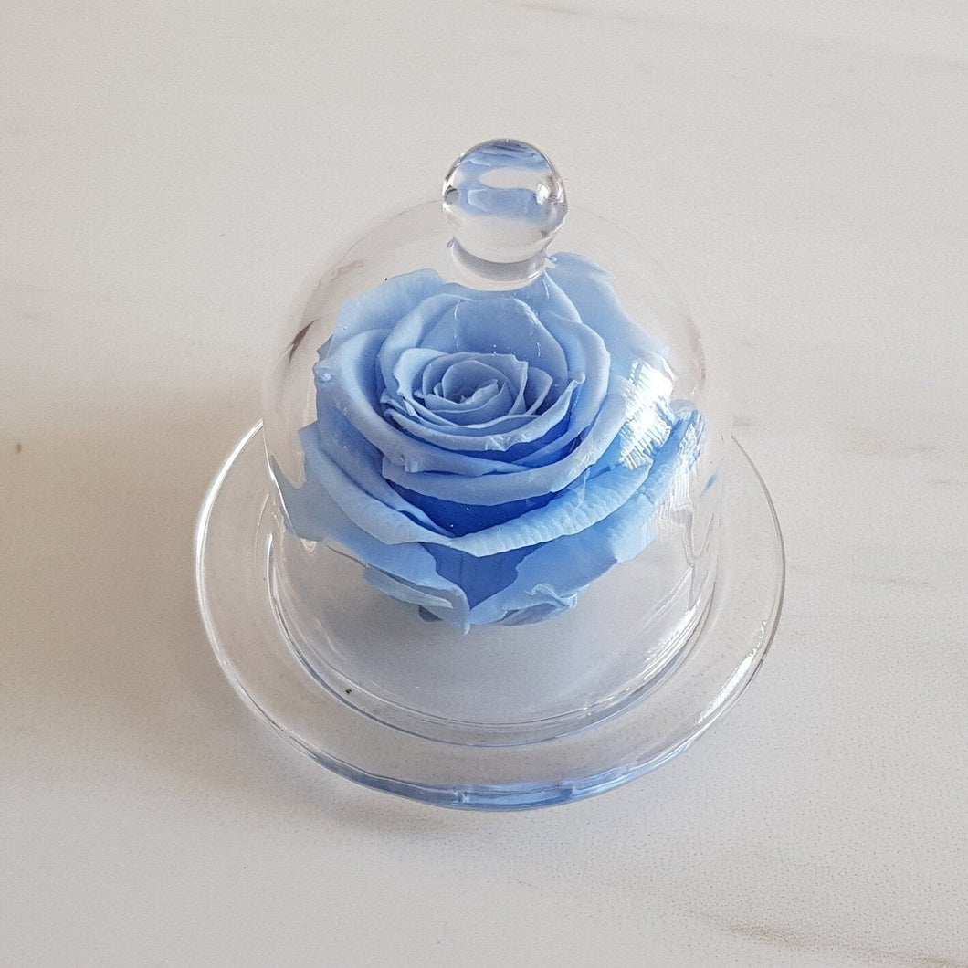 MBOS London Baby Blue Preserved Rose Presented in a Glass Dome