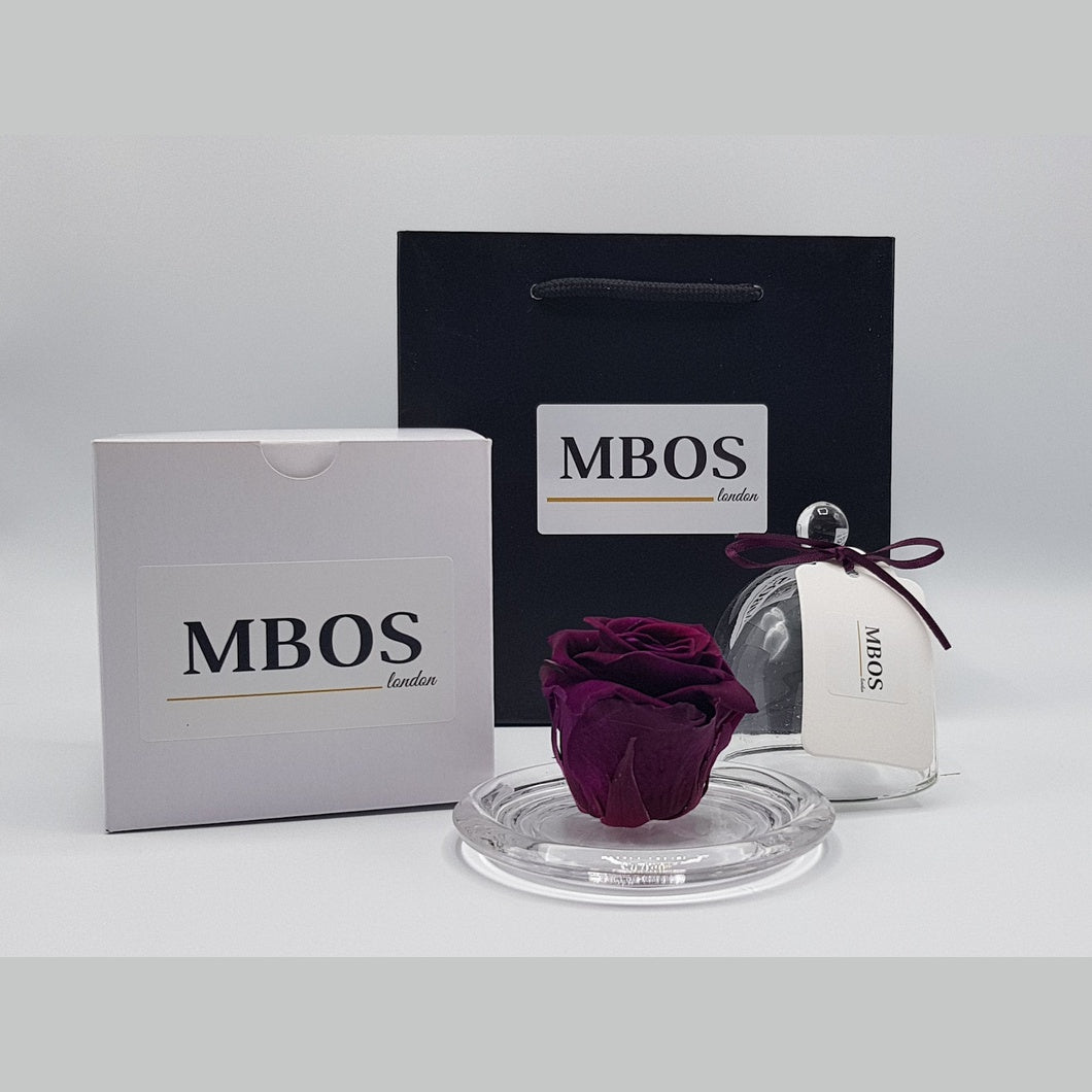 MBOS London Purple Preserved Rose Presented in a Glass Dome