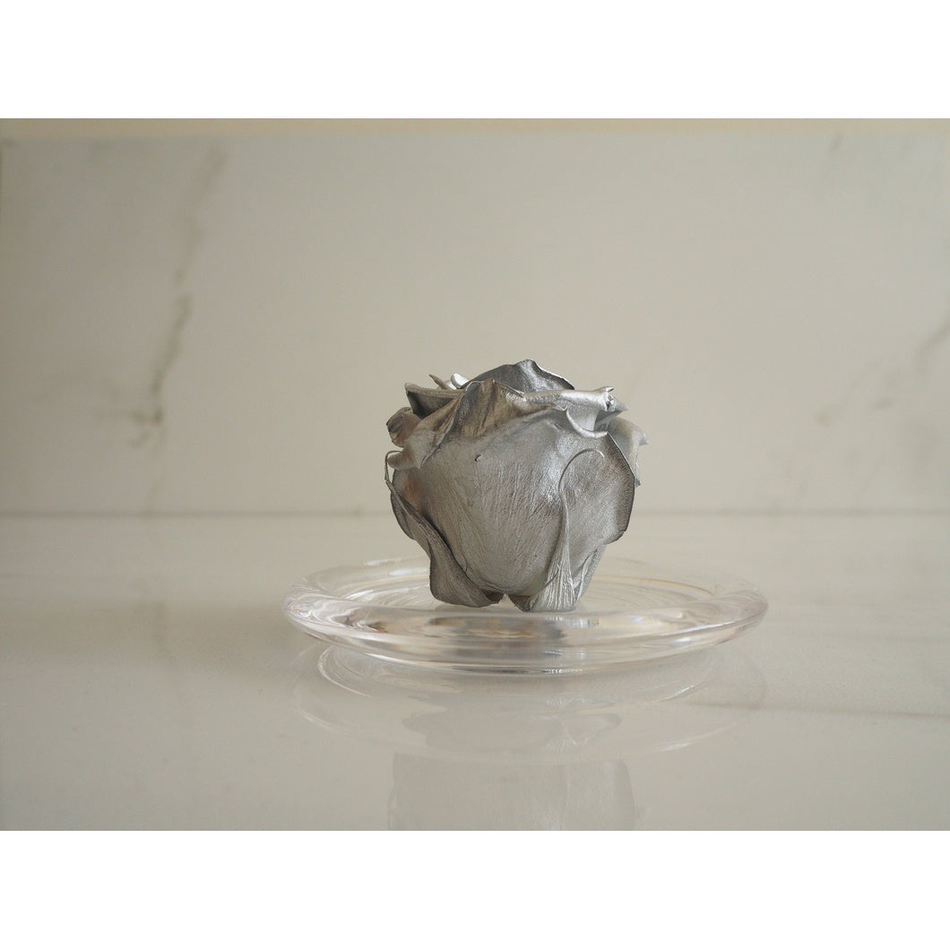 MBOS London Silver Preserved Rose Presented in a Glass Dome