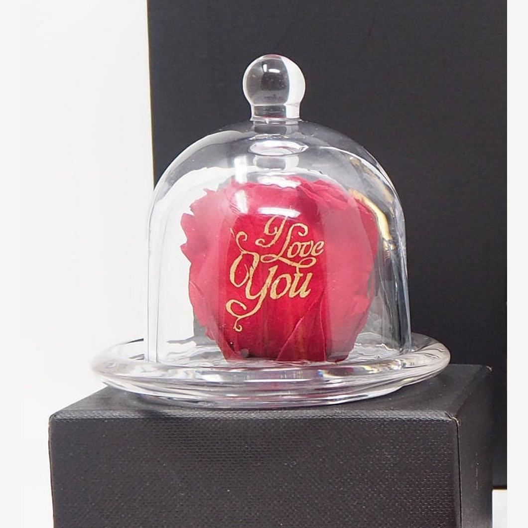 MBOS London Preserved Rose in Red Printed With 'I Love You' in a Glass Dome