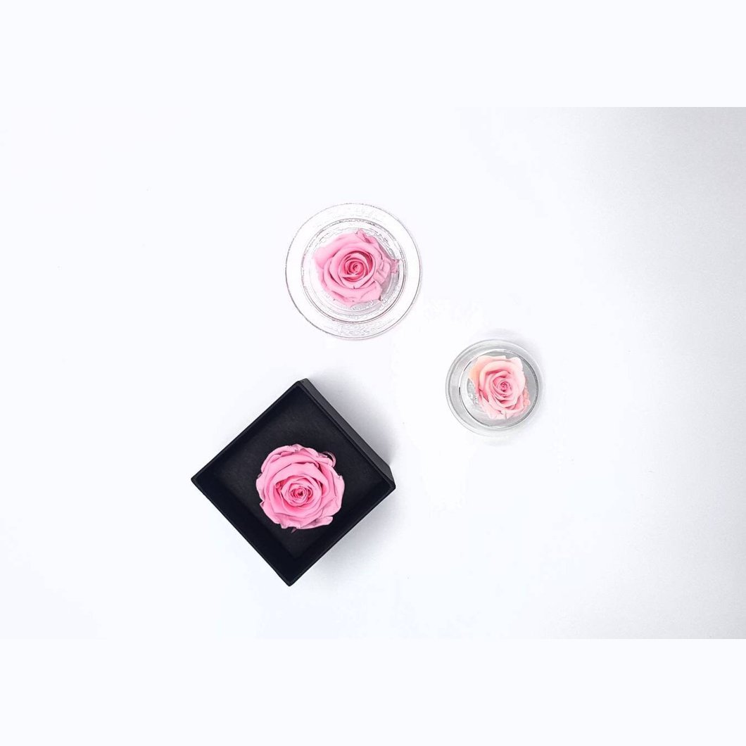 MBOS London Everlasting Pink Rose Presented In a Black Gift Box