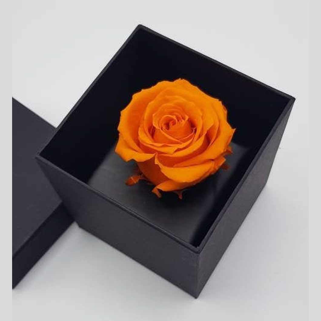 MBOS London Everlasting Orange Rose Presented In a Black Gift Box