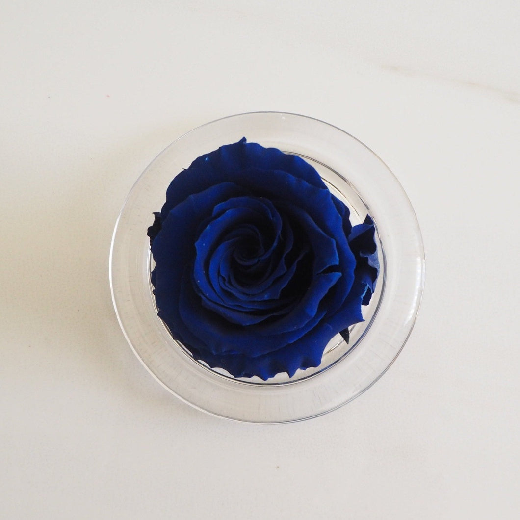 MBOS London Indigo Blue Preserved Rose Presented in a Glass Dome